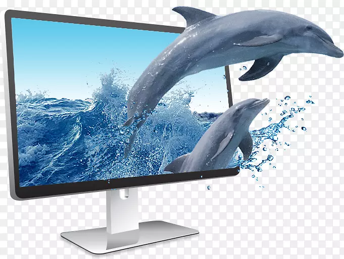 ������ʾ����ʾװ�ú�����������-�ɰ�����-������