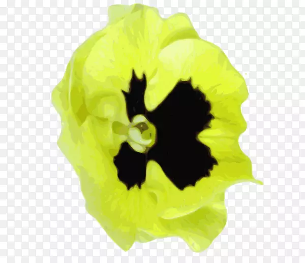 ��Ҷ�ݿ���ֲ�����ɫ-������