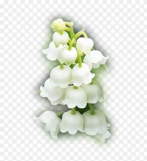 ������-��ֿ-������