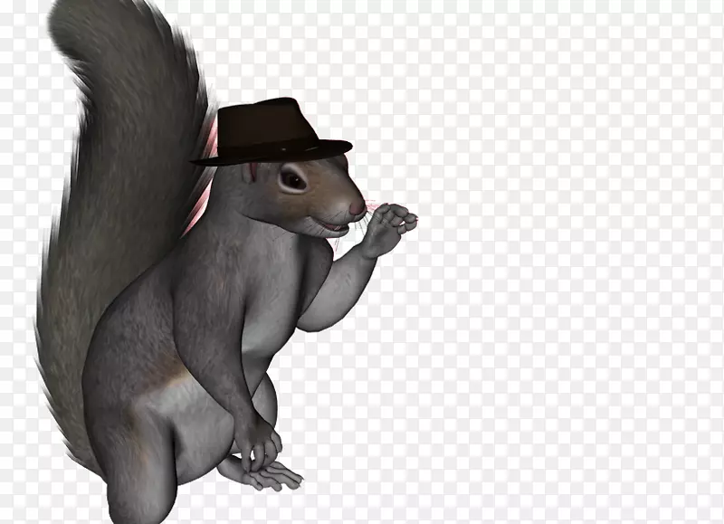 ���ݶ��������д�����-����һ�պ���-������