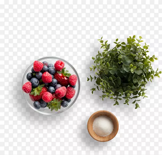 ��ʳ������ݮ��Խݮ-����Ԫ��-������