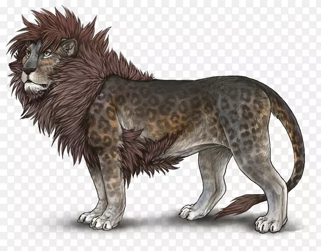 ʨ�����¹�ʯ��ʯ�߲�-������