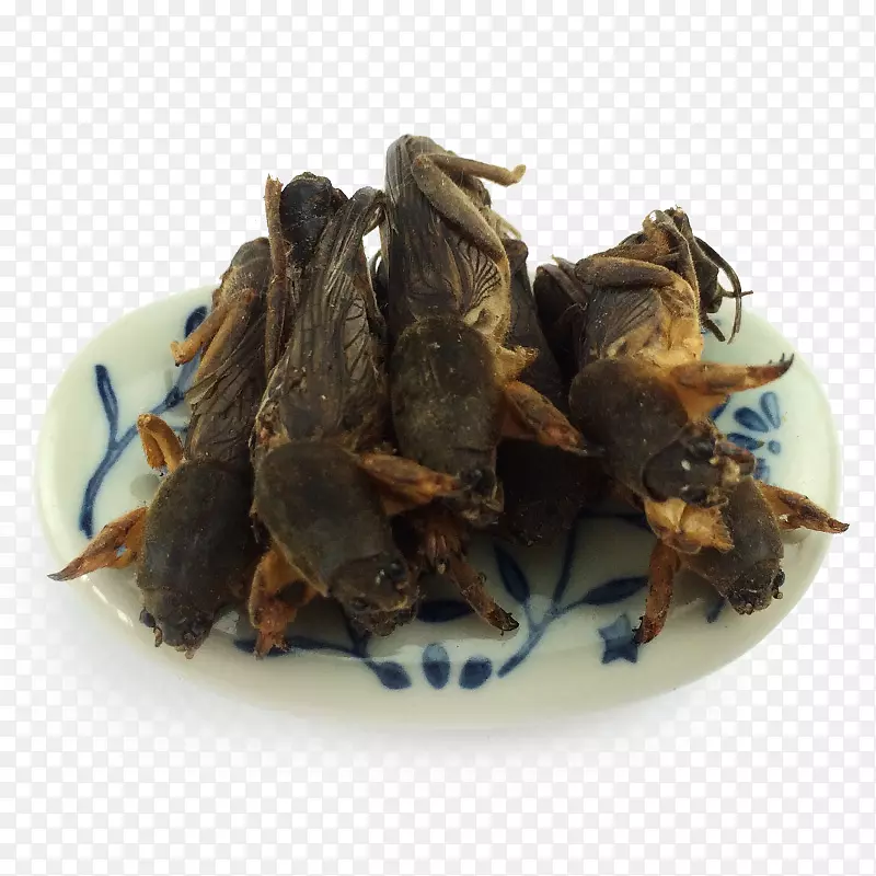 ����������-������