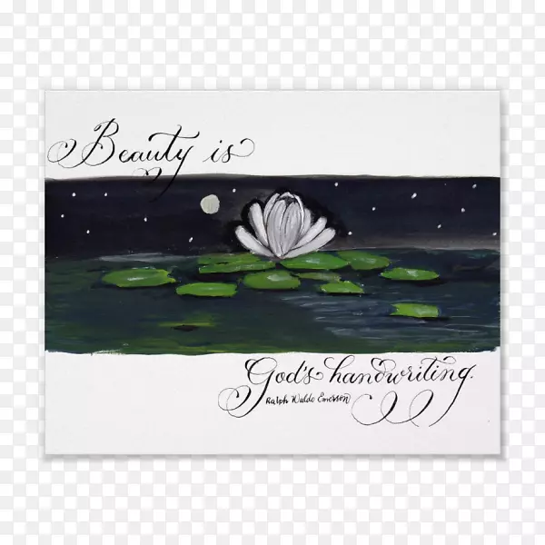 ��ɫ�����λ��ֻ���-������