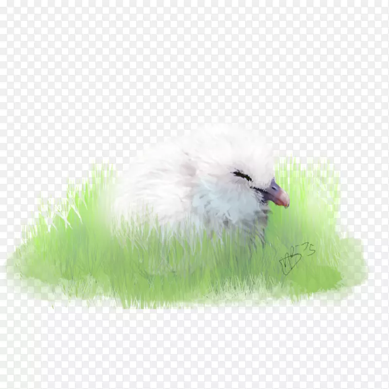 ˮ�������.��Ÿ-������