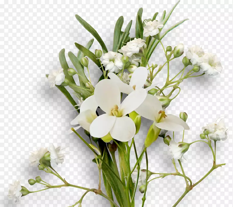 �л���������ƣ����ܻ���-ˮ����-������