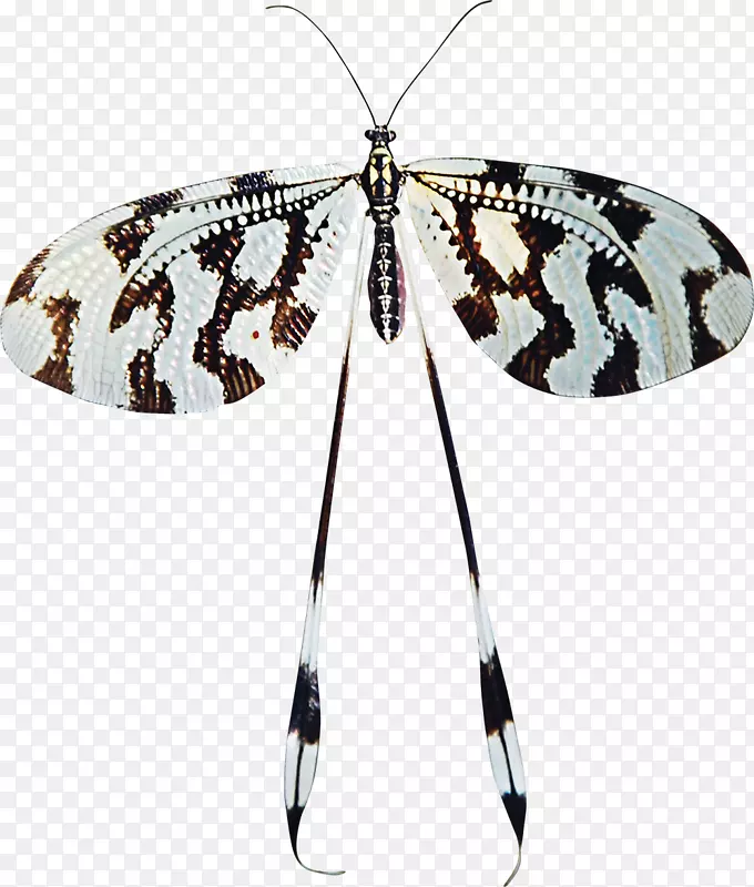 ����������ֽ�ڰ�����-������