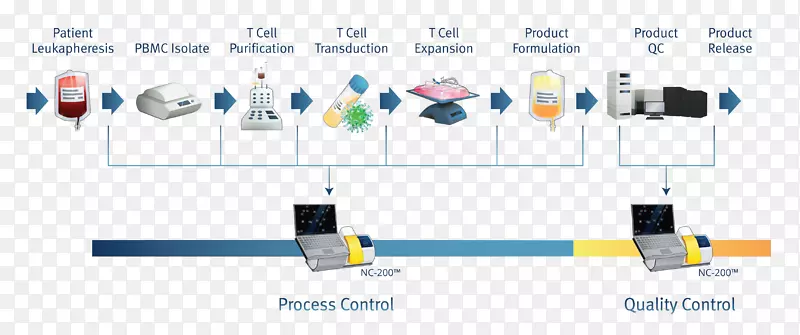 Ƕ�Ͽ�ԭ����tϸ������ϸ������-CAR����-������