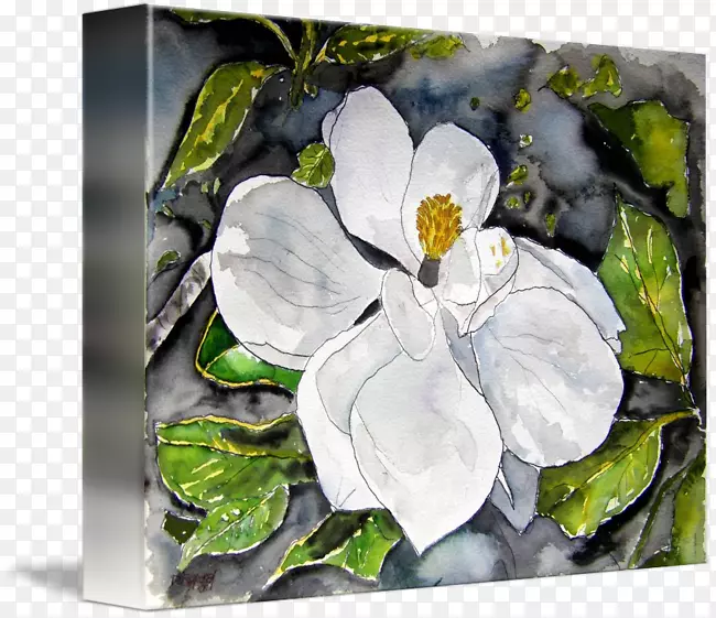 ľ���ƿ���ֲ�ﻭ-ľ������-������