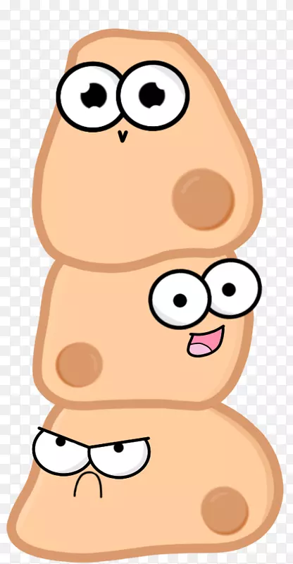 Ƥ��ϸ������-��ϸ����ͨ-������