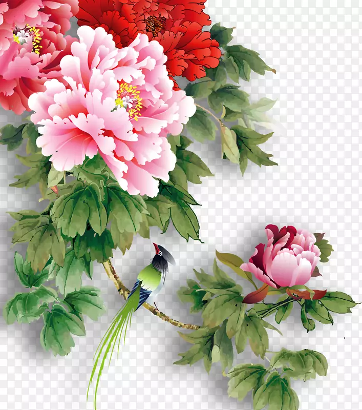 ĵ������-������