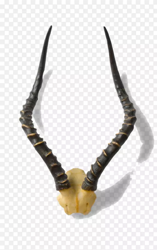 ¹�Ƕ����Ʒ¹���°�.�ǵı�־-������