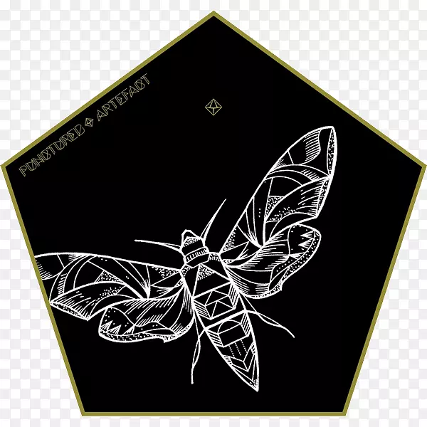 ��������������޼�׵�����֫���Ｘ������-������