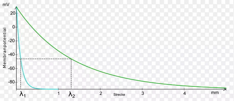 Բ�����ε����-����-������