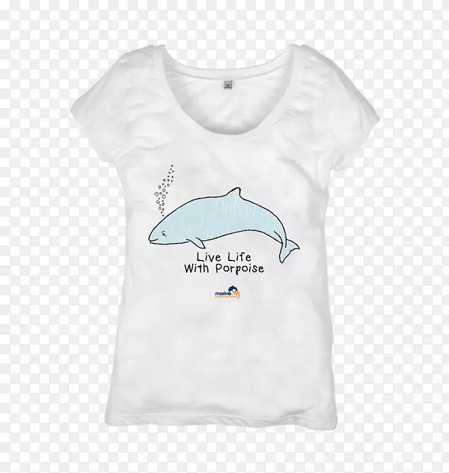 t��ñ������-��̼����-������