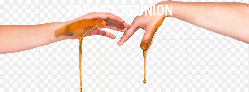 ��ָĴָ����Դ��ʳ������-�ž�-������