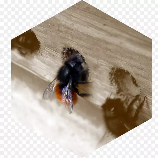 �۷������ù�-������