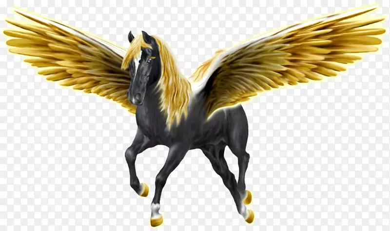 ��٤��˹�����������ֽϣ����-��ɫ�ͽ�ɫ-������