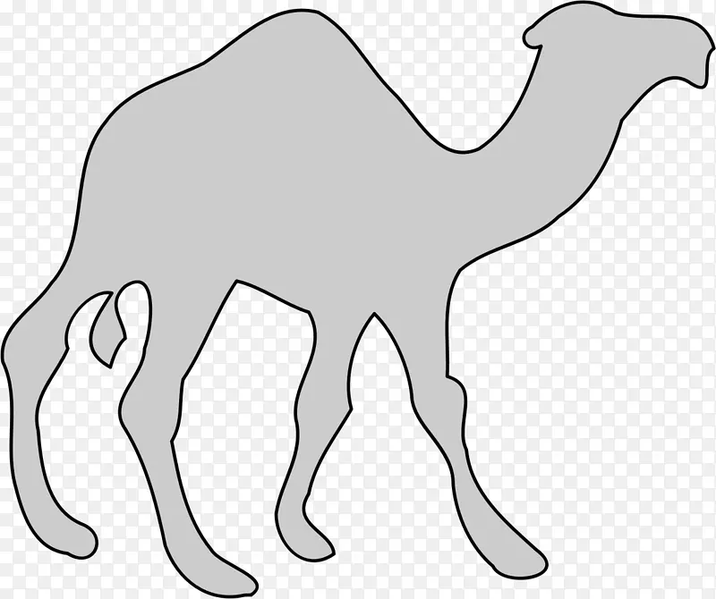 ���Ұ�����-��ˬ������-������