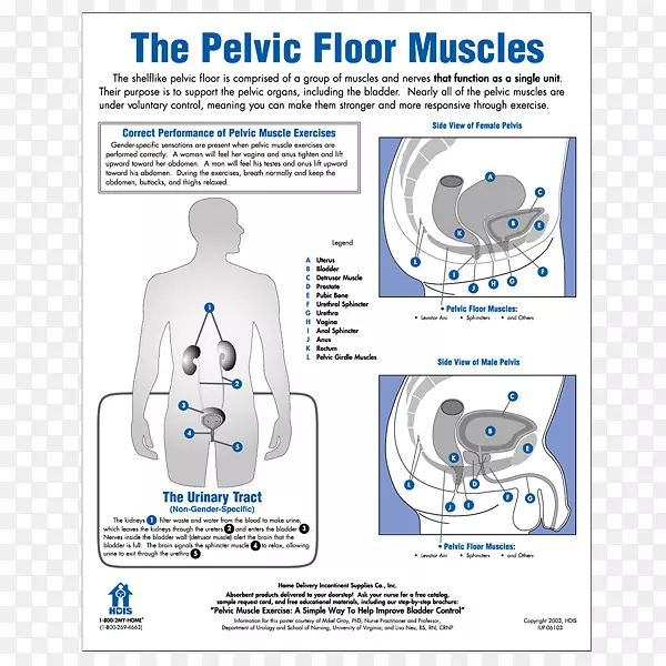 ��������-�����ذ�-������