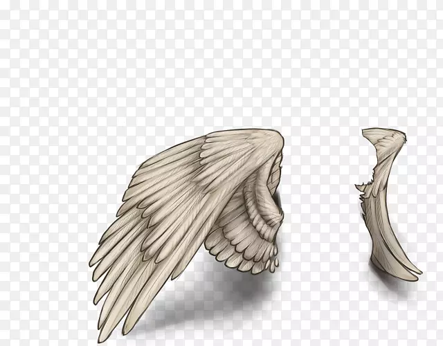 �������°�-��ɫ���-������