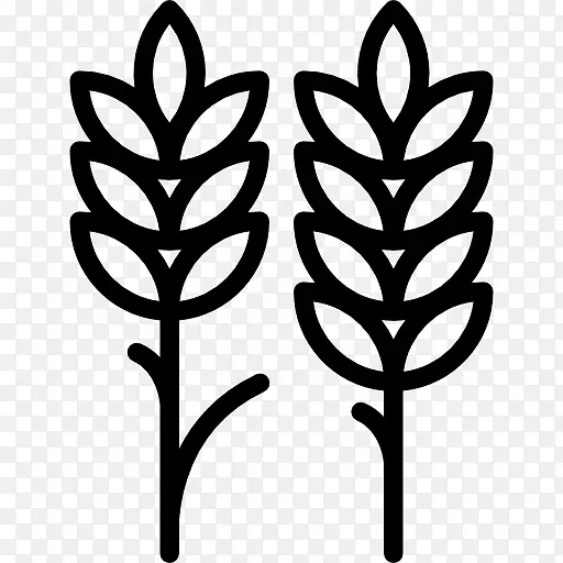 �����ͼ��С��Գ�-������