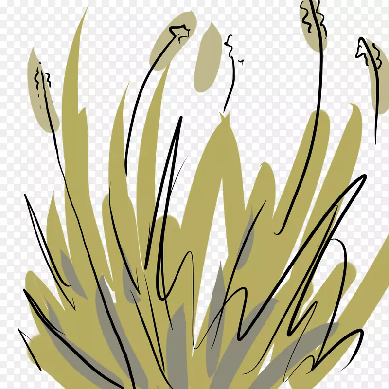 ֲ�ﾥ����ֲ������ֲ��-������