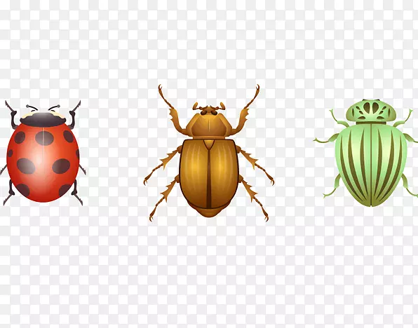 �����۷����������������-������