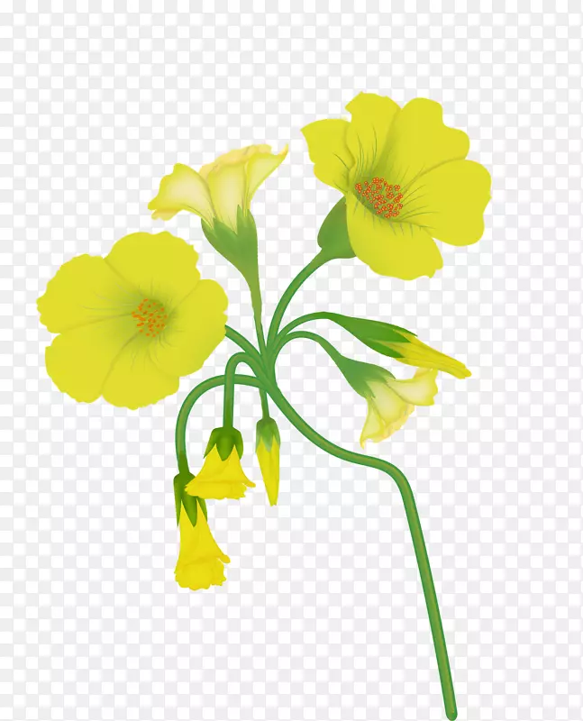 �л�������ƻ滭ˮ�ʻ�-������