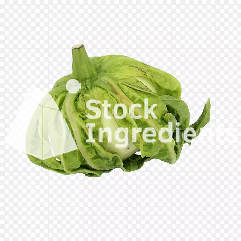 Ҷ���ѡ����ӡ�ʮ�ֻ����߲�.�����װ-������