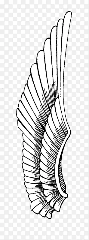 ��������ӥ��ɫ�������-������