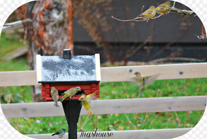 ��׮��-������