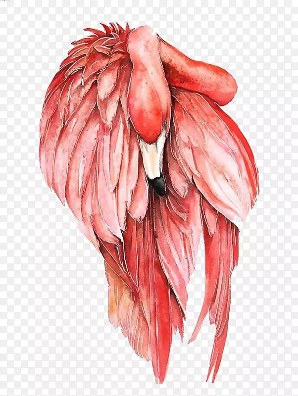 ������ˮ�ʻ��ֻ������-������