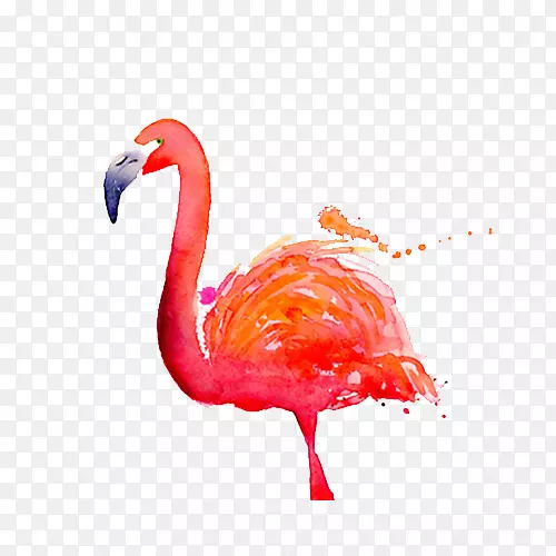 ������ˮ�ʻ�Ư��ˮ�ʻ�������-������