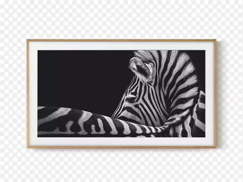 4k�ֱ��ʳ��������ȵ������ܵ��ӱ���lcd-wen��֡-������