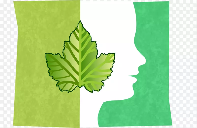 ë������������ֽ����Ҷ����Ҷ-������