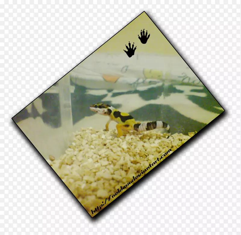 ���洫�۶���켣Ĥ-������