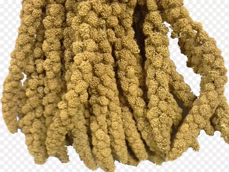 �Ĵ����ǹ�������-С��-������