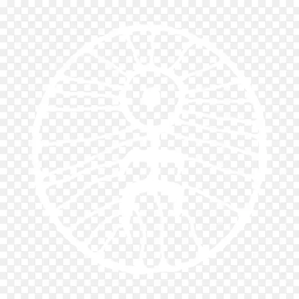 �����ʼ����Ϲ���ѧ������������Ϣ���������ѧ��-Ů��-������