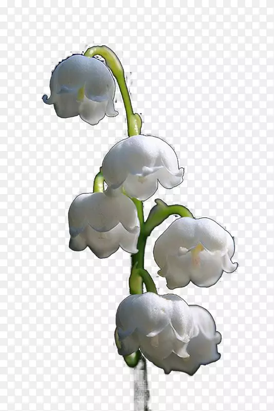 9�·ݿ���ֲ��-����27 0 1-������