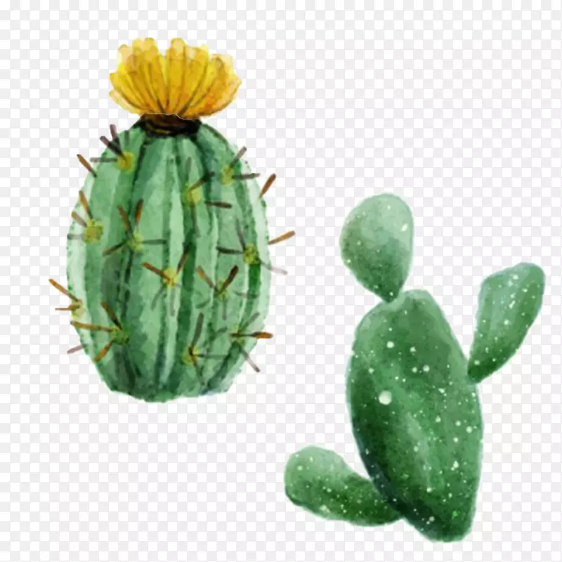 �����ƿ�ˮ�ʻ�������-������