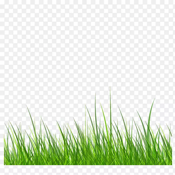 ��������S6������-�̲�-������