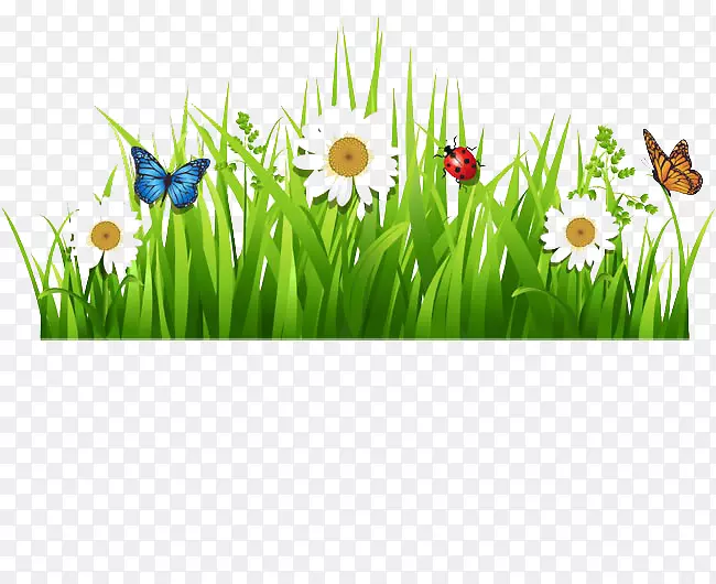 �����������-������