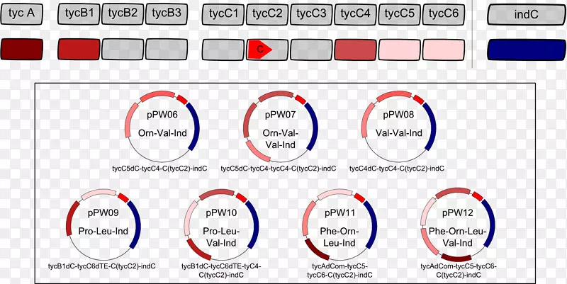 �Ǻ��������Ұ���󳦸˾�����-����-������