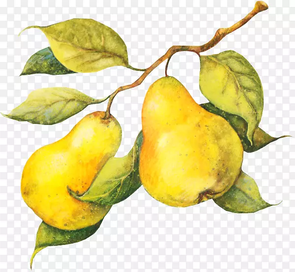 ˮ���߲�-������-������