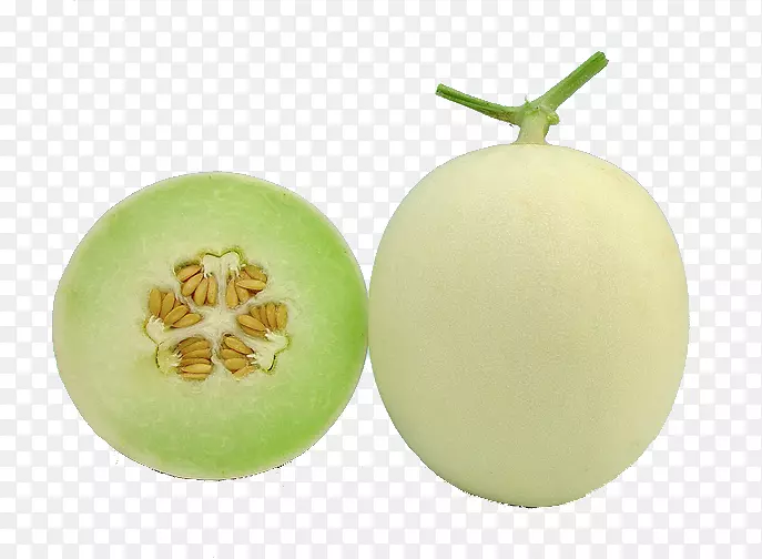 ��¶������Ϲ��ܹ��й�-������