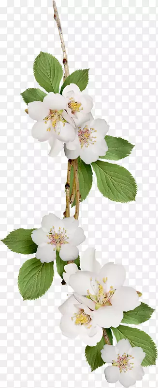 ������-������