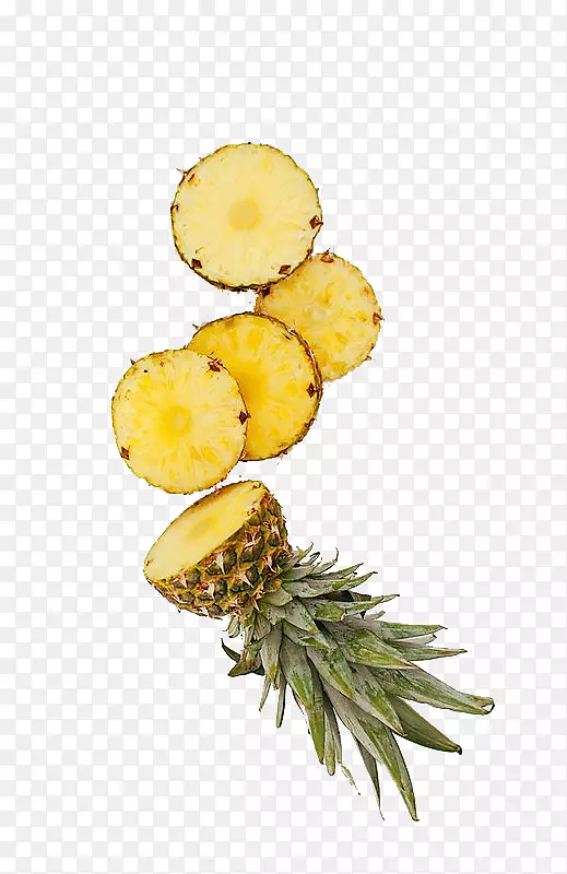 ��֭����ʳƷˮ�����ʲ���Ƭ-������