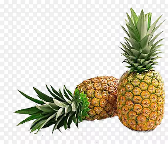 ����֭��������¸���˹ʳƷ����-������