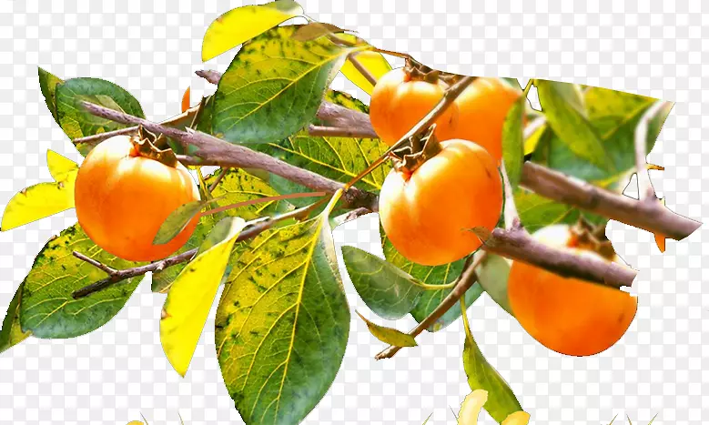 �ײ�ģ������-����-������